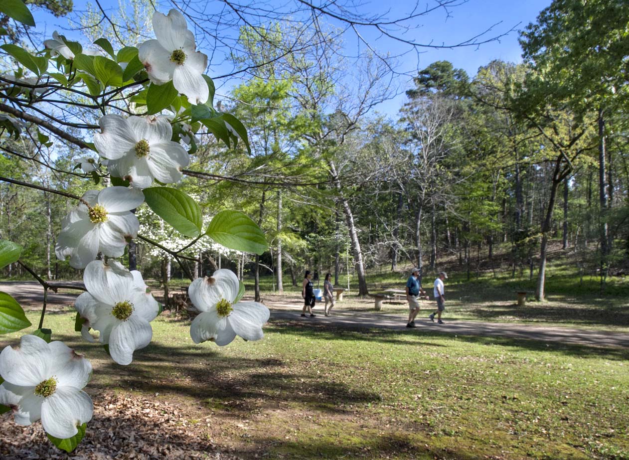 Discovering Tranquility and Heritage: A Day Trip Beyond Dallas