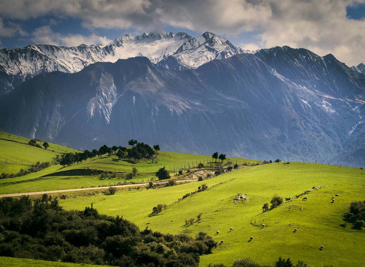 Navigating New Zealand: A Budgetary Odyssey through the Kiwi Wonderland