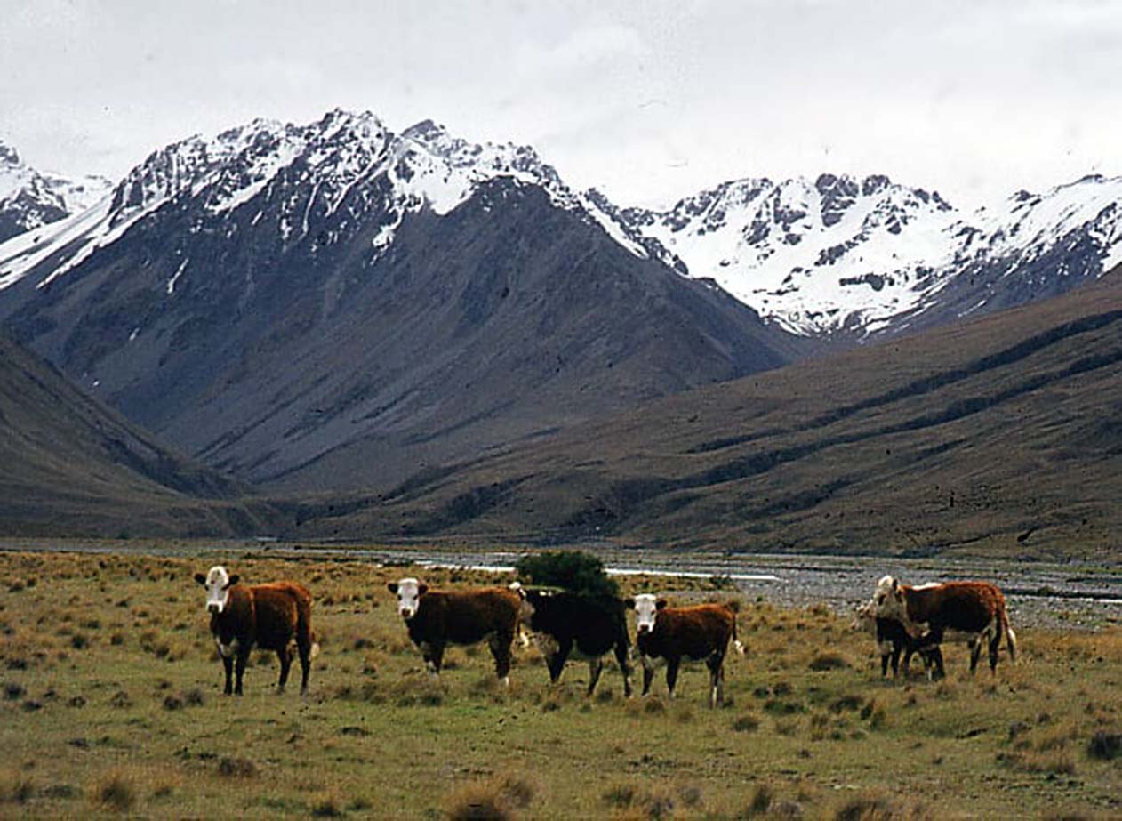 Discovering the Wonders of New Zealand: Travel Tips for a Responsible Adventure